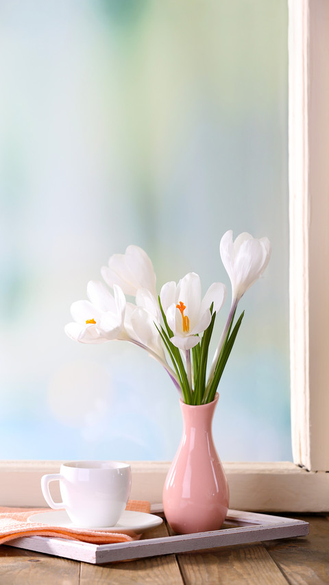 White crocus in vase on windowsill background preview