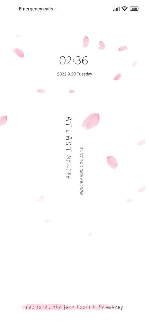 You Say Later preview