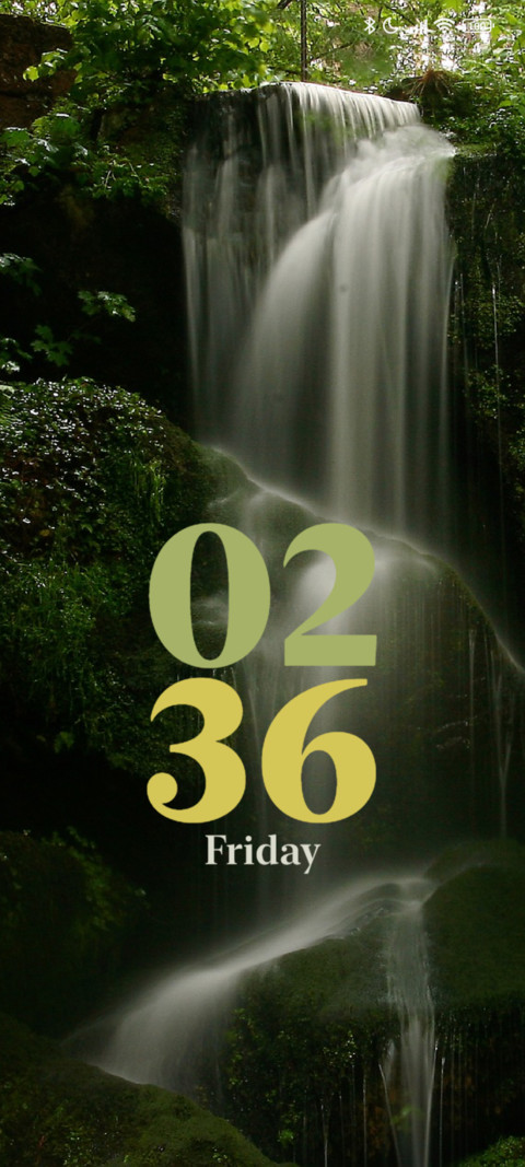 Forest Waterfall preview