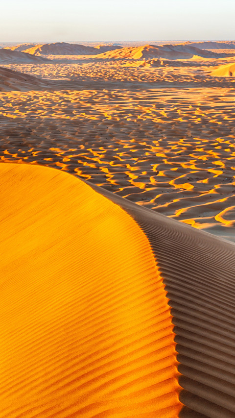 Pure desert preview