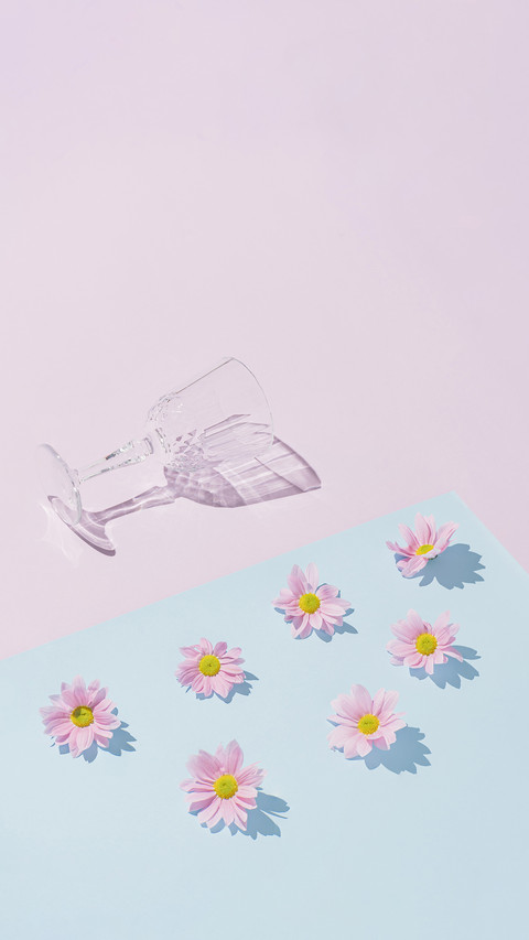 Fresh flower-02 preview
