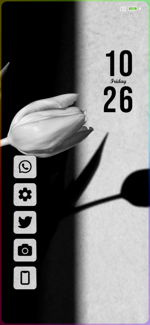 Triumph Tulips preview