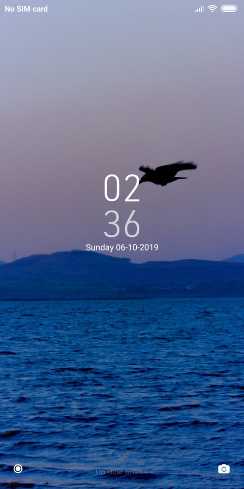 Eagle_DWM2 preview