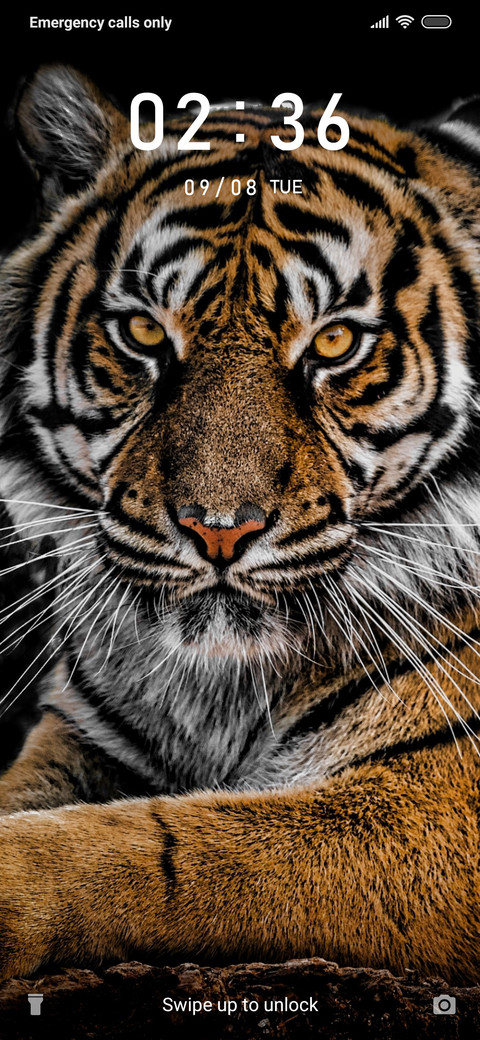 Tiger Face_3MDS preview
