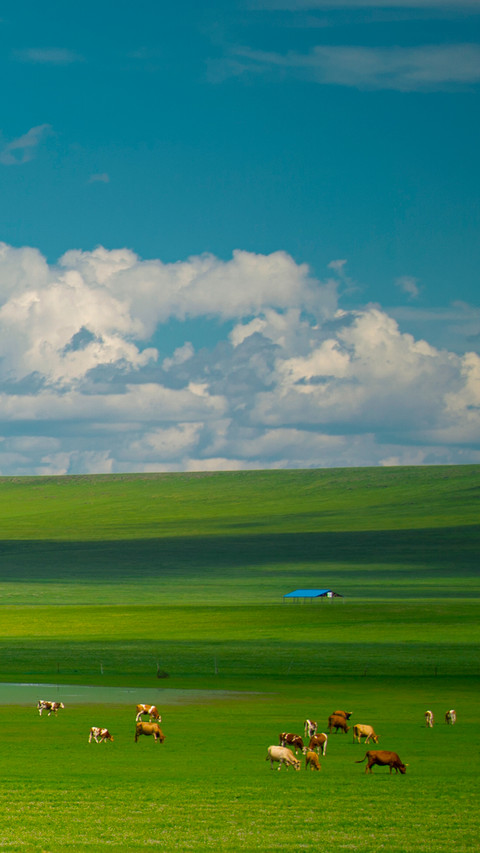 Tianbian pasture preview