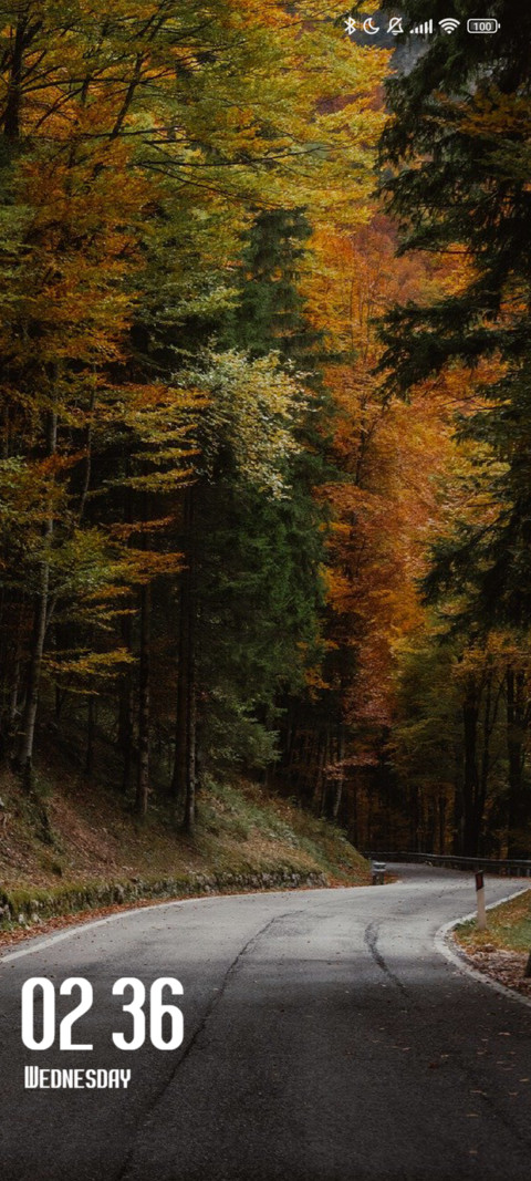 Autumn preview