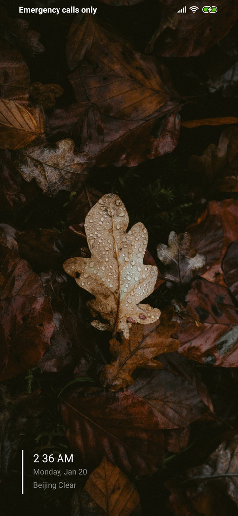 Leaves 2 preview