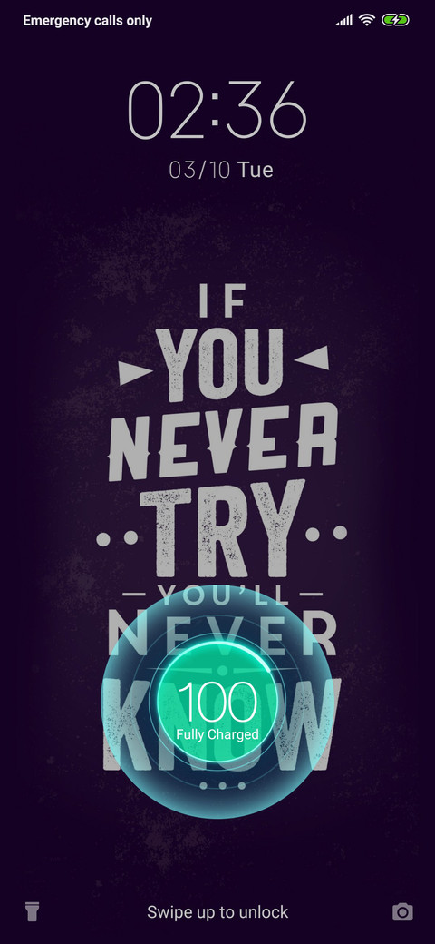 Typography_3MDP preview