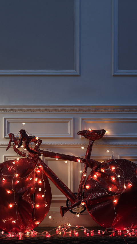 International-bicycle preview