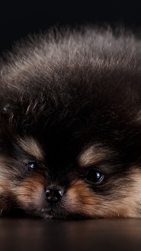 112360_1440x2560.jpg preview