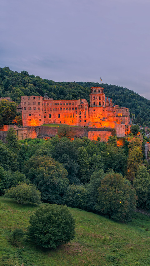 Night view of Heidelberg Castle in Germany preview