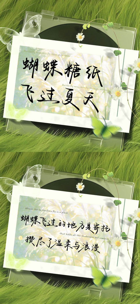 蝴蝶糖纸飞过夏天 preview