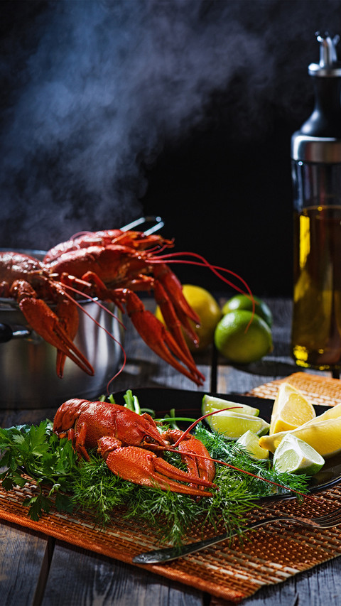 Complete collection of crayfish practices 53 preview