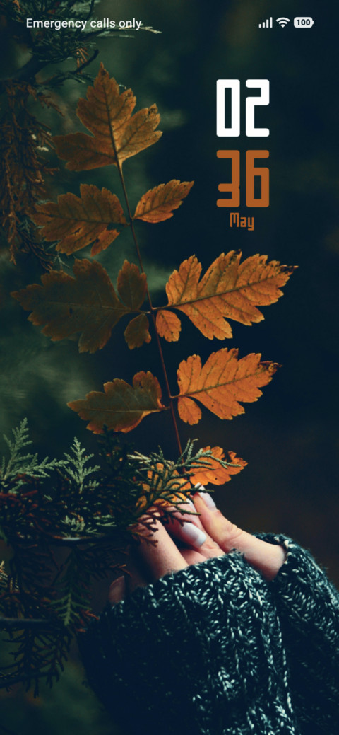 Forest preview