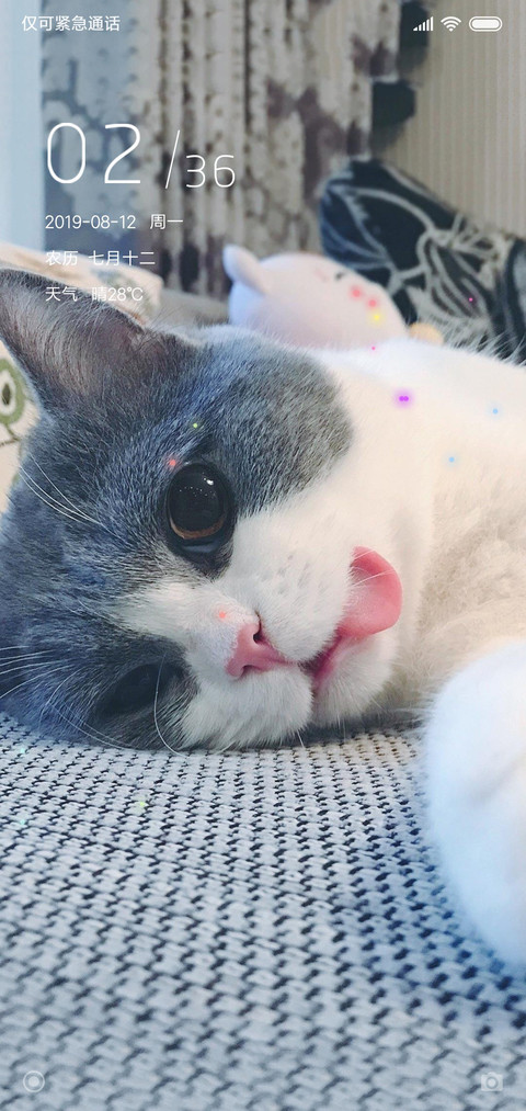 猫猫咪鸭 preview