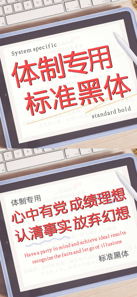 体制专用标准黑体 preview