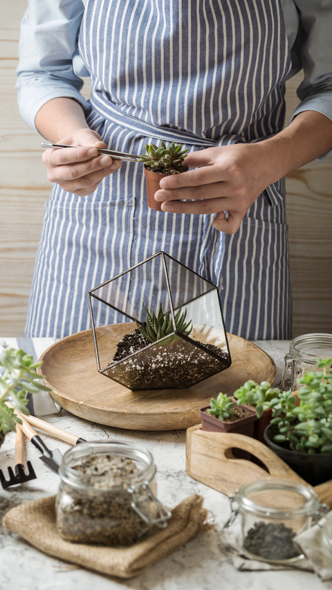 Details during the maintenance process of succulent meat 0 preview