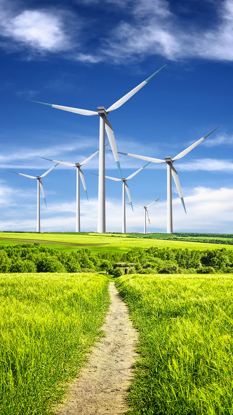 Windmill preview