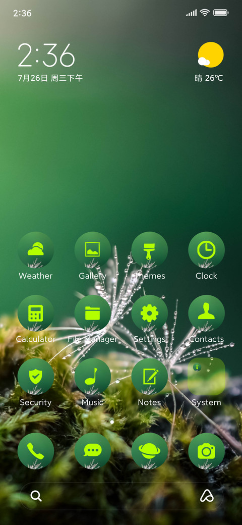nature dandelion preview