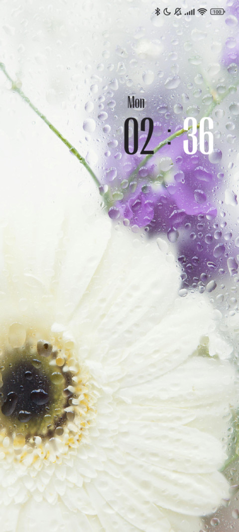 Raindrops preview