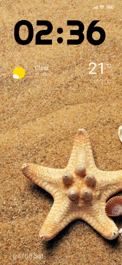 beach starfish preview