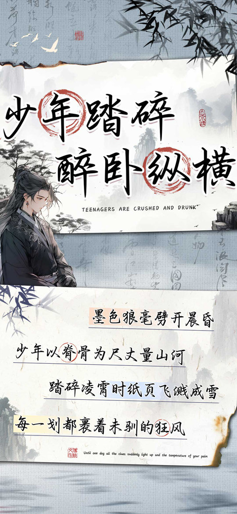 少年踏碎醉卧纵横 preview