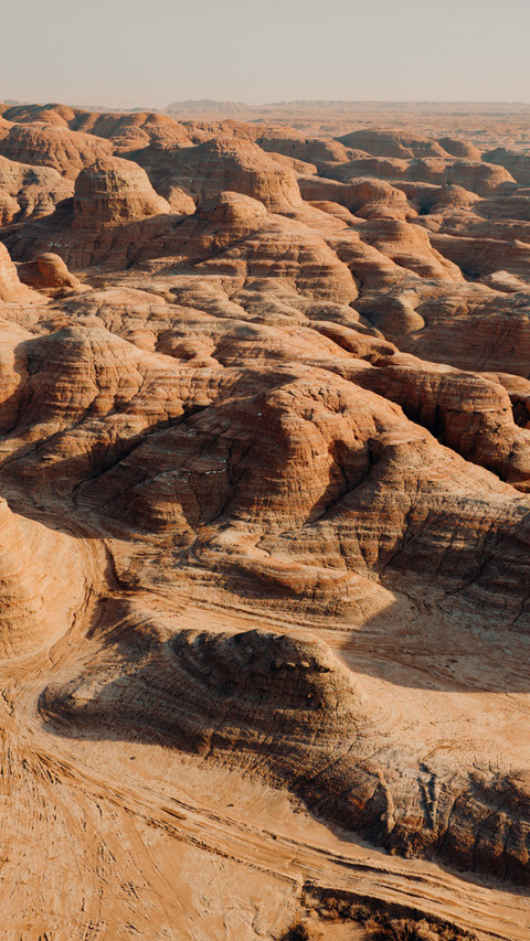 In the vast desert, the sandstorm escorts the travelers preview