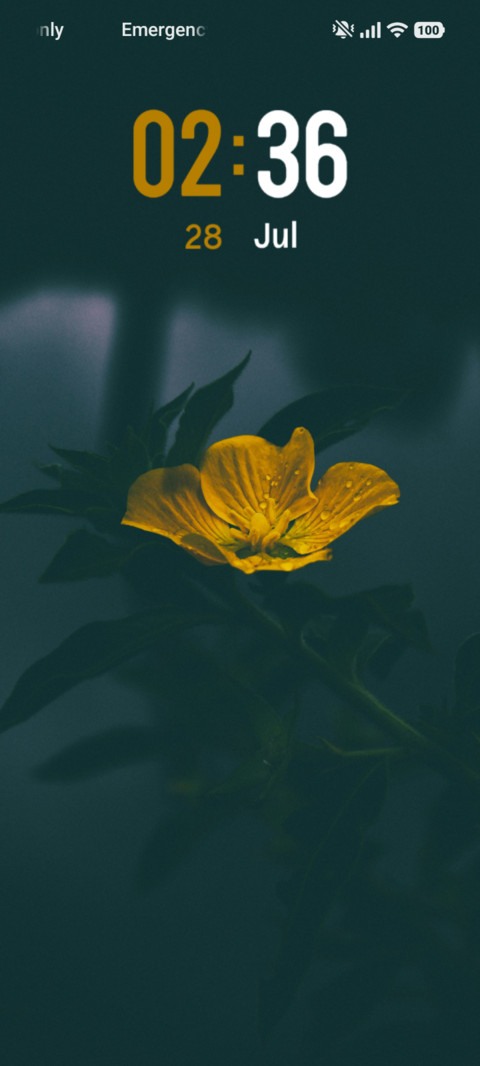 Flower Petal preview