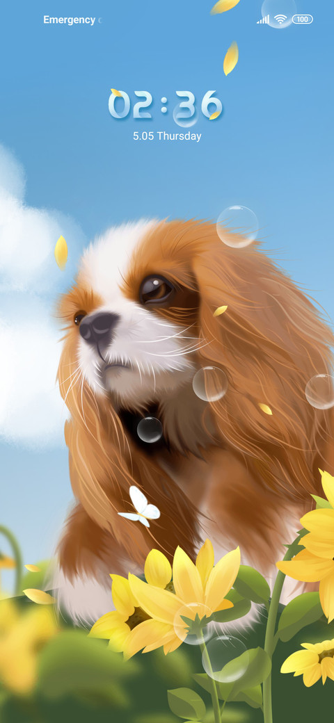 Charlie dog preview