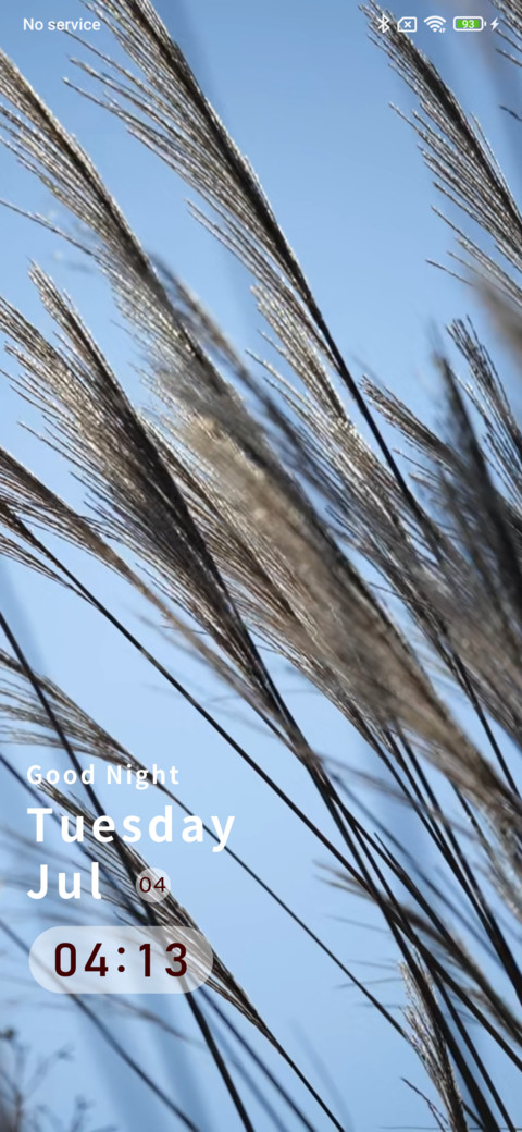 Reed preview