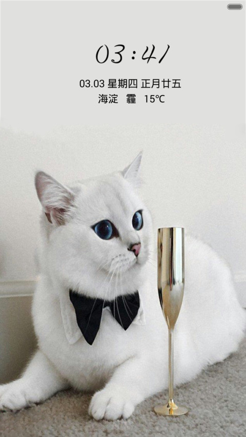 可爱猫咪（音乐锁屏+全图标） preview