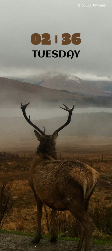 Hill Deer preview