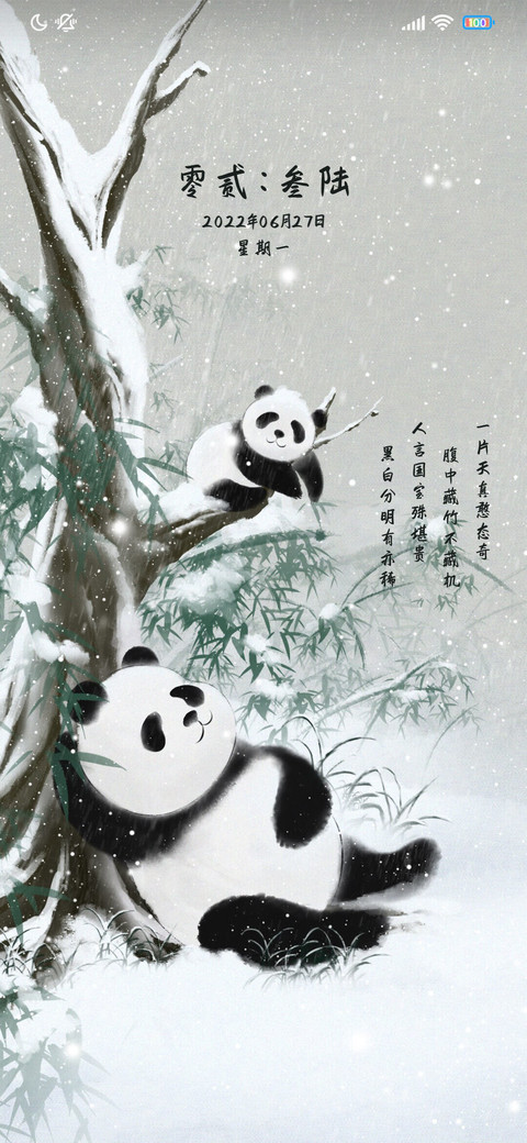 国风熊猫 preview