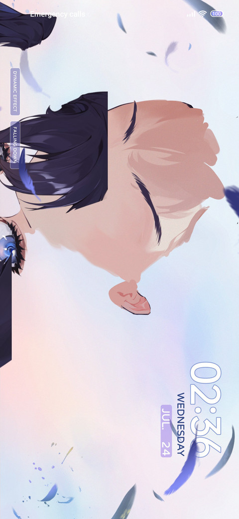 Feather falling preview