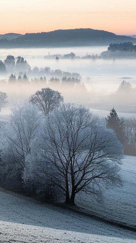 The misty atmosphere in winter is romantic preview