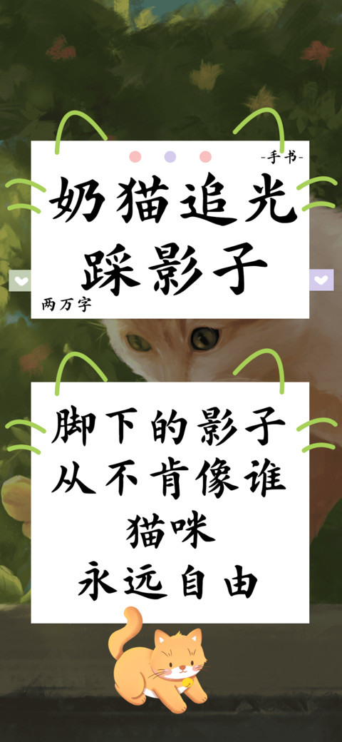 奶猫追光踩影子 preview