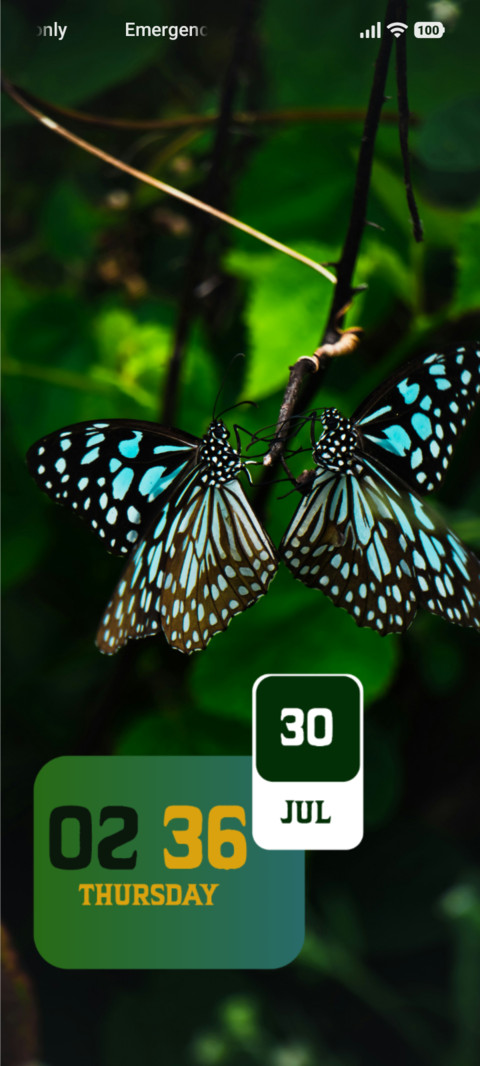 Butterfly preview