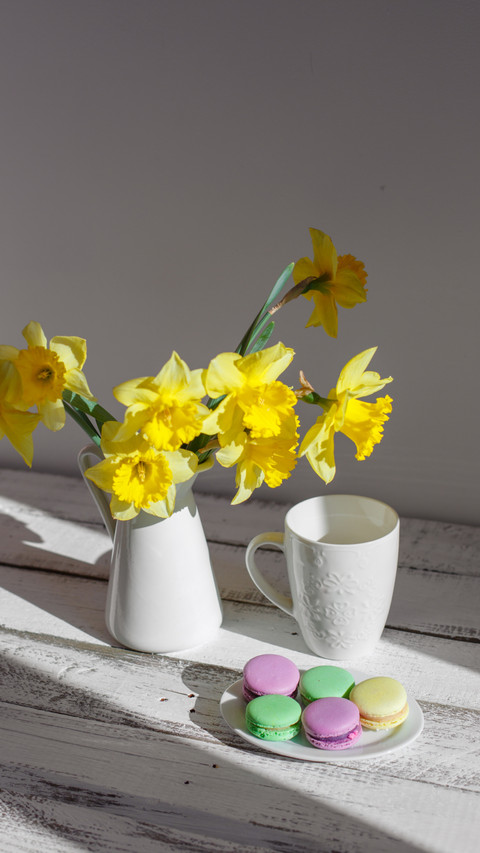 Daisy Delight, Dancing in Sunlight's Embrace preview
