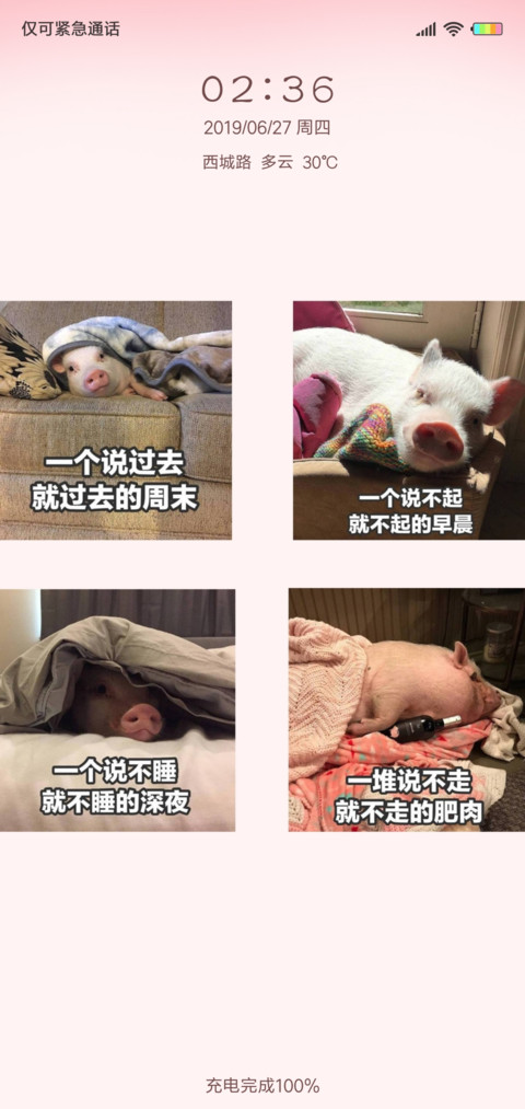 小猪的猪生G preview