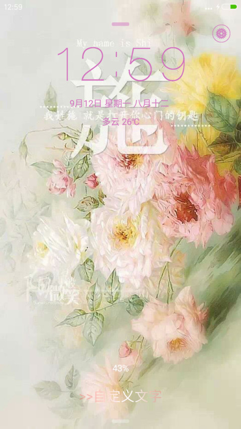 姓氏-施 preview