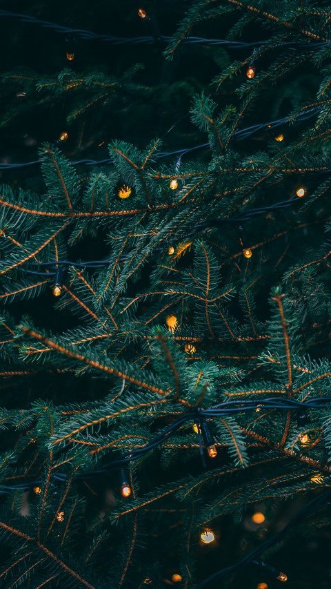 Tree Led preview