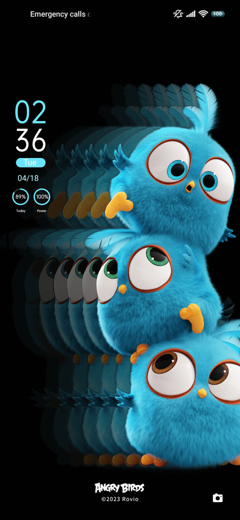Birds are angry preview