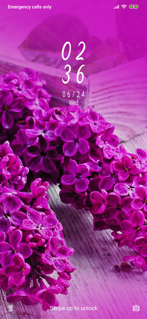 Lilac flower_3MDS preview