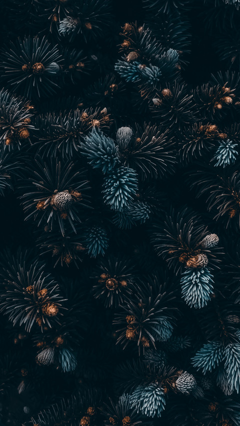 植物脉搏 preview