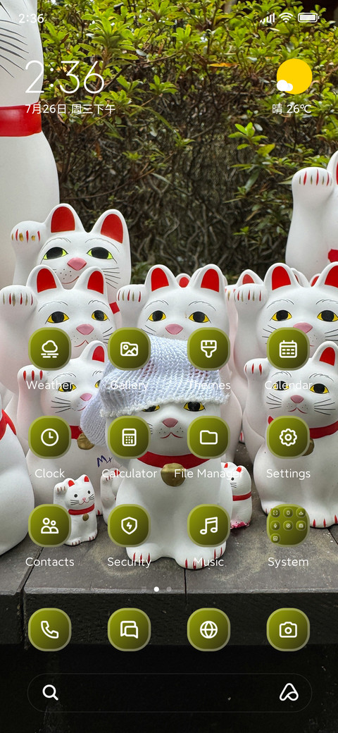 White Cats preview