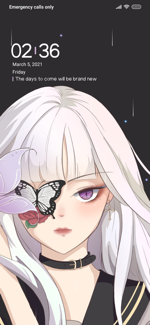 Phantom preview