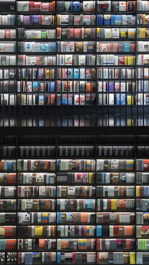 The worlds unique library 4 preview