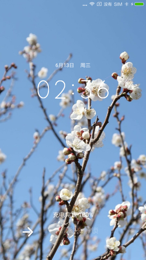 花开 preview