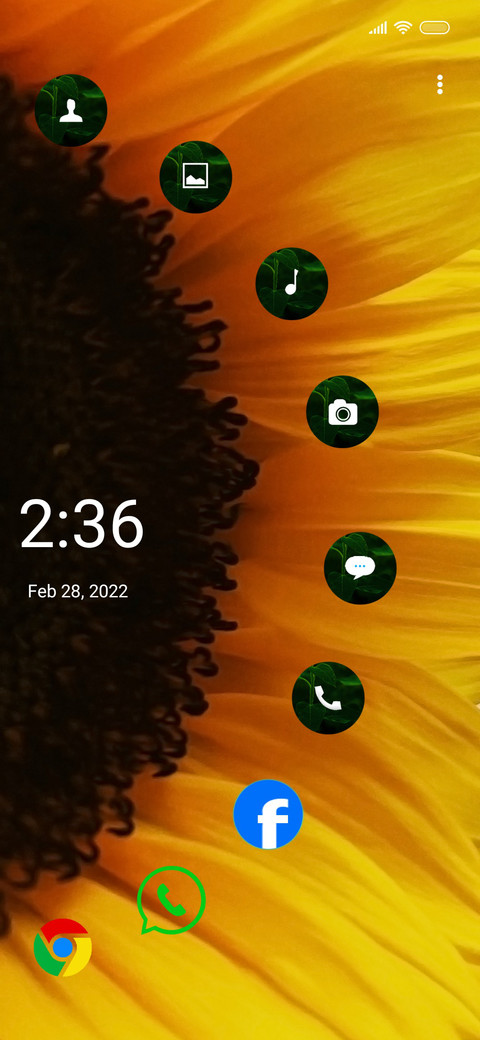 Sunflower Quo preview