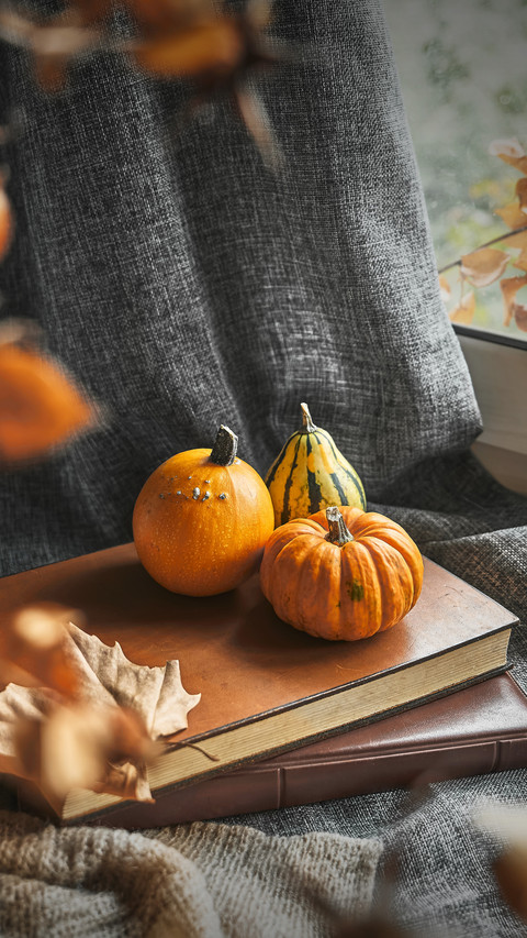 Does pumpkin really nourish the stomach 42 preview